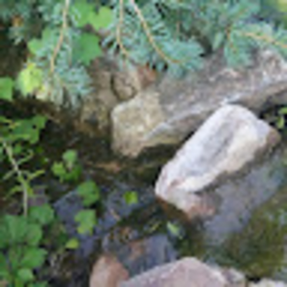 Meet your Posher, Kody